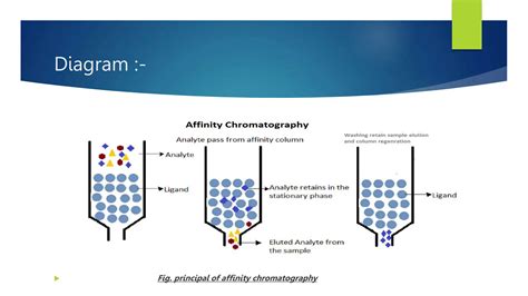 Affinity Chromatography Materials