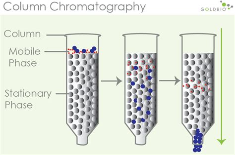 affinity chromatography stationary phase