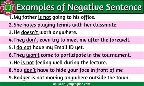 affirmative and negative sentences examples