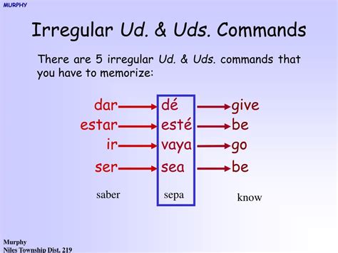 affirmative uds commands examples