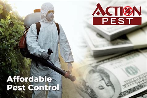 affordable pest control services in toledo