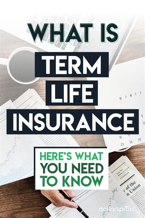 affordable term life insurance ideas