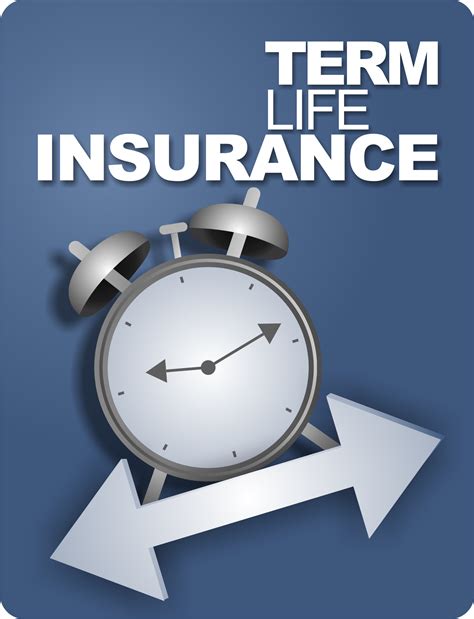 affordable term life insurance policies