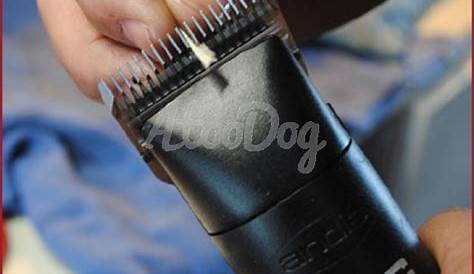 Affutage tête de coupe tondeuse chien sur AtooDog.fr
