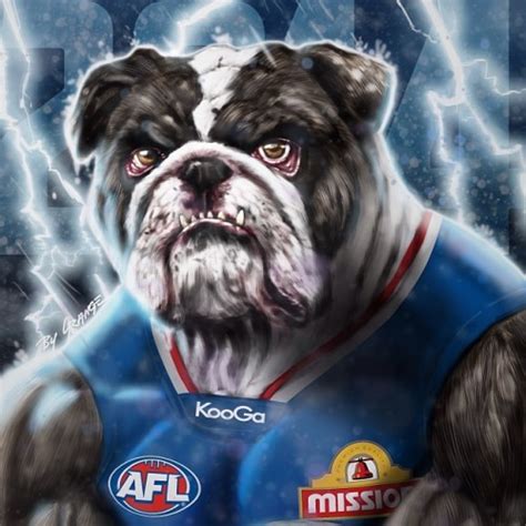 afl bigfooty western bulldogs