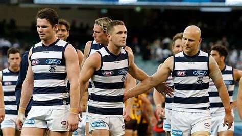 afl geelong cats players