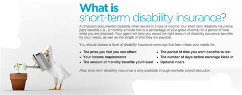 aflac private disability insurance