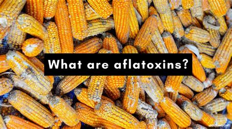 aflatoxins in food