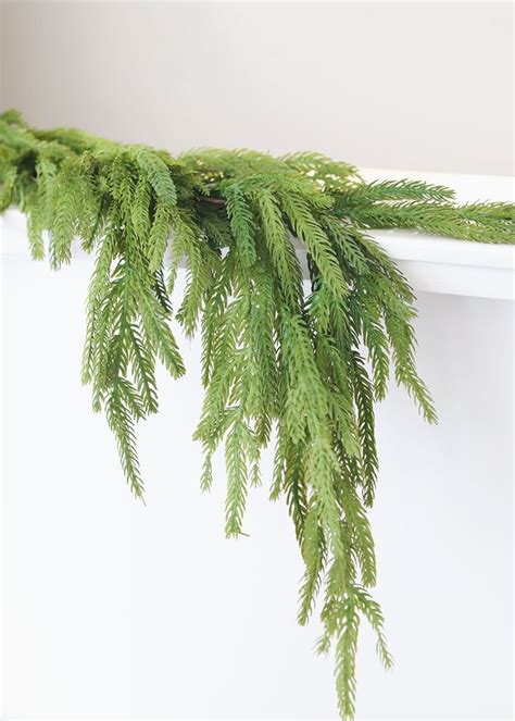 afloral norfolk pine garland