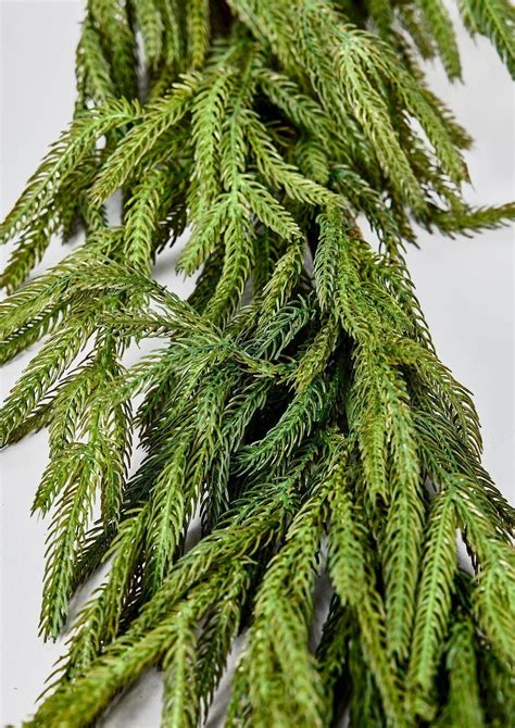 afloral real touch norfolk pine garland - 60