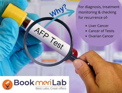 afp tumor marker blood test