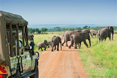 africa safari trip packages