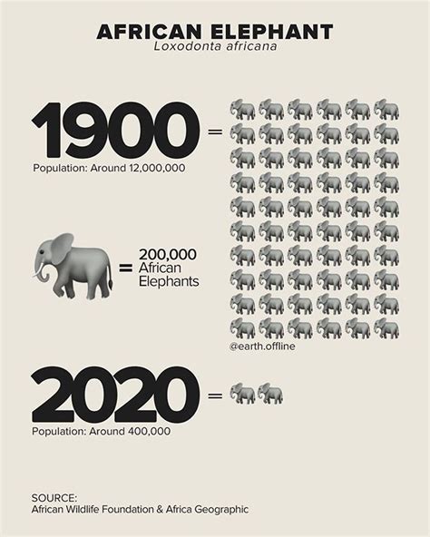 african elephant population 2023