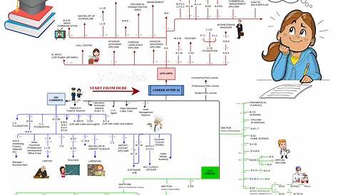 After 12th Science Career Option Chart guidepassstudentsciencebiologyflowchart