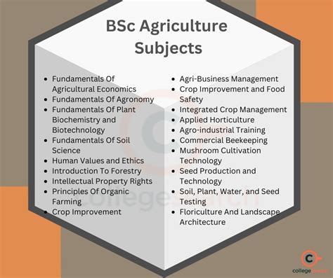after bsc agriculture what can i do