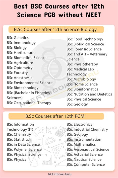 after bsc courses list