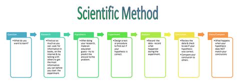 after making an observation what is the next step in the scientific method