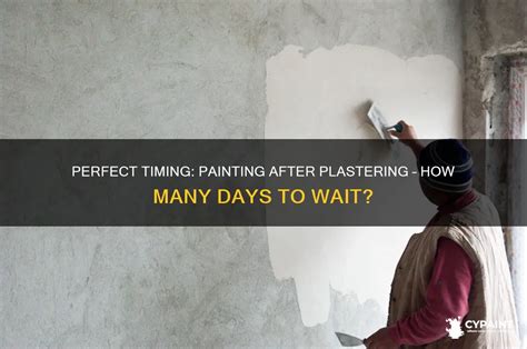 After Plastering When To Paint
