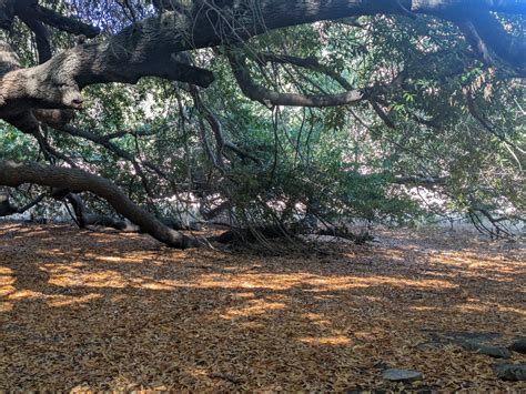 after sound bath reflection