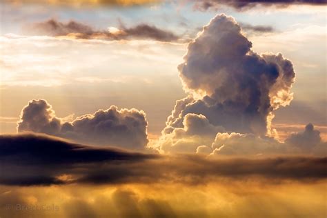 Afternoon Clouds: Reflection