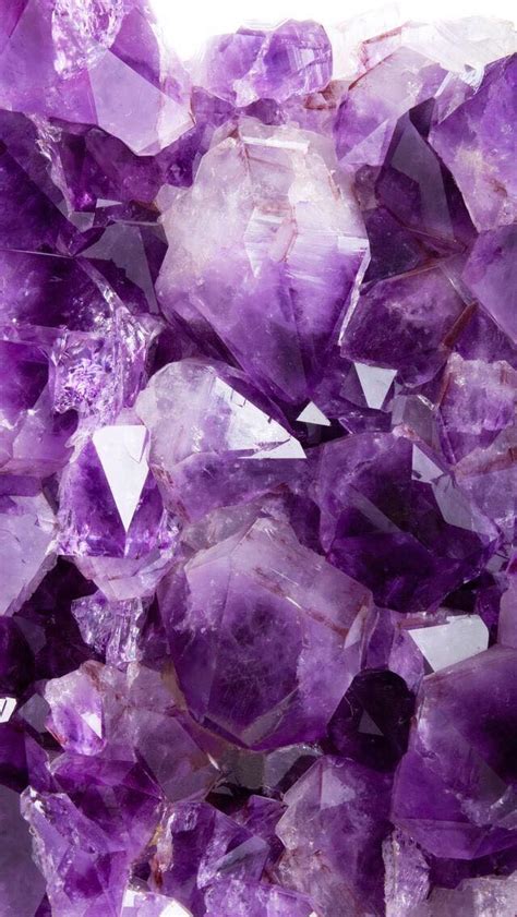 Discover the Hidden Secrets of Afton Marie: Unveiling Nature's Wonders