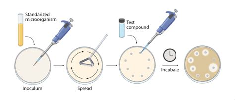 agar diffusion method principle