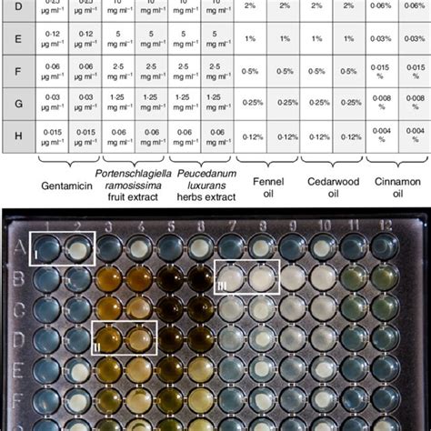 Agar Dilution Method Essential Oils
