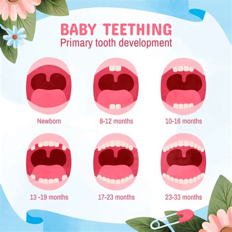 When Do Babies Get Their First Tooth: A Parent’s Guide