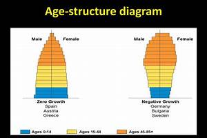Age_structure_diagram_comparison.gif Gif Age Progression