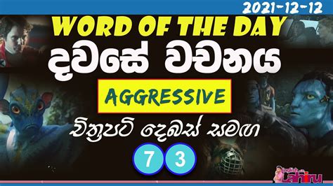 aggressive meaning in sinhala
