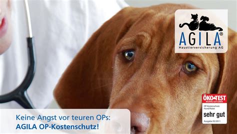 AGILA Haustierversicherung Der Hundeblog für Hundeliebhaber
