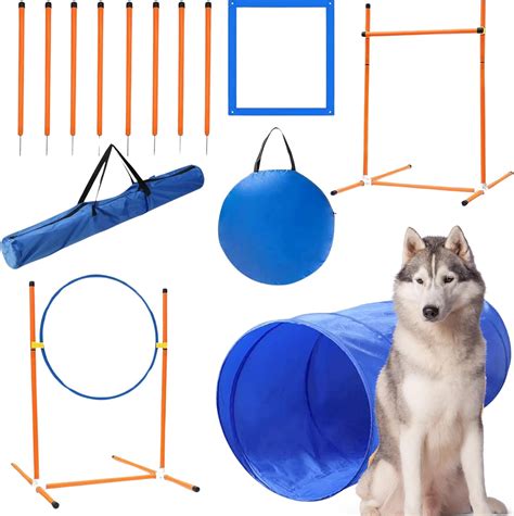 Agility Equipment Amazon