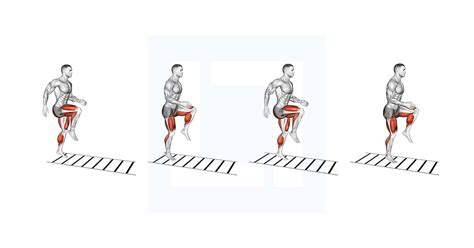 more agility with a long body