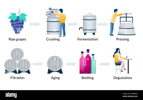Aging Process Wine Making