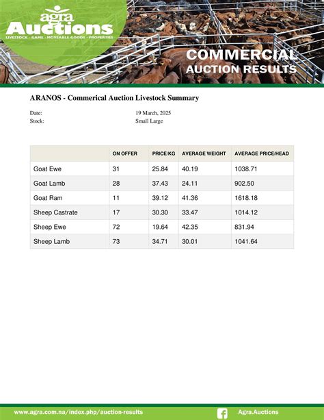 Agra Auction Summary