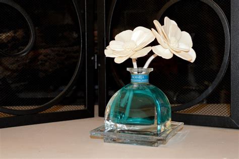 Agraria Diffuser Review