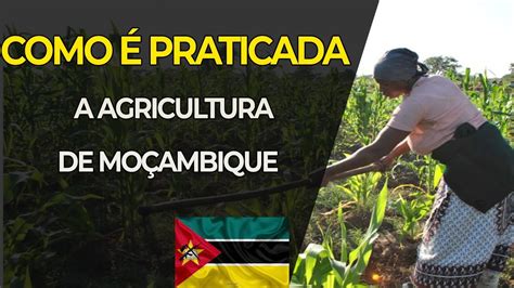 agricultura em mocambique pdf