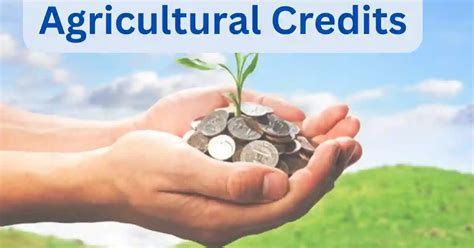 agricultural credit corporation login