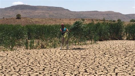 agricultural drought in south africa