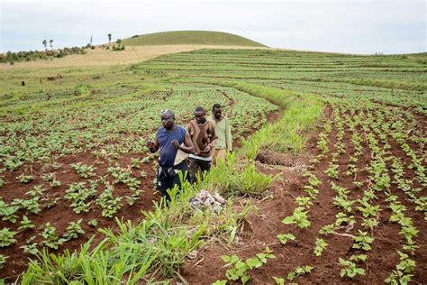 agricultural grants in nigeria 2024