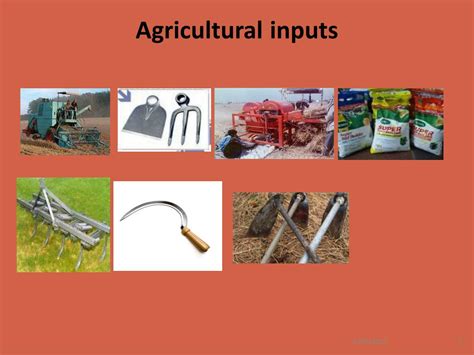 Agricultural Inputs Examples