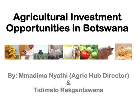 agricultural opportunities in botswana