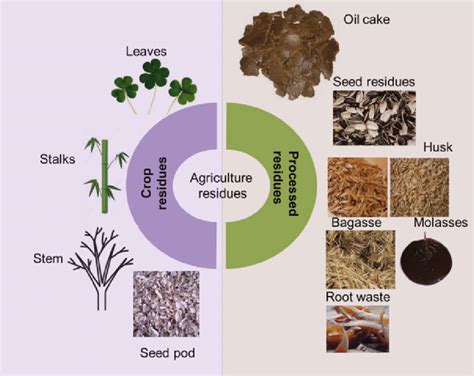Agricultural Residues Examples