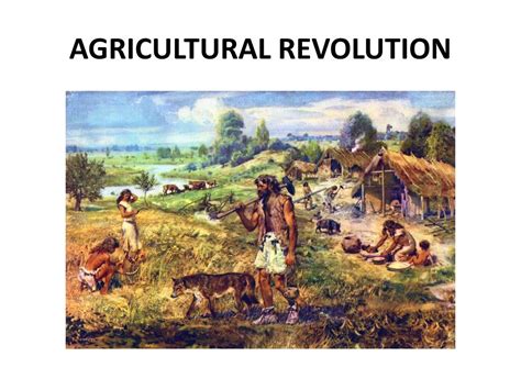 agricultural revolution meaning world history
