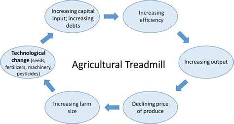 Agricultural Treadmill Example