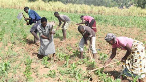 agriculture in east africa