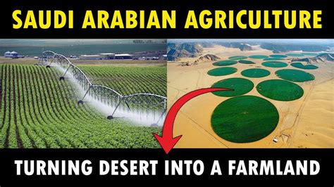 agriculture in saudi arabia photos