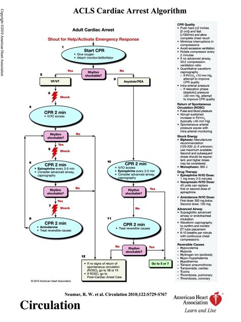 aha acls algorithms 2023 printable pdf