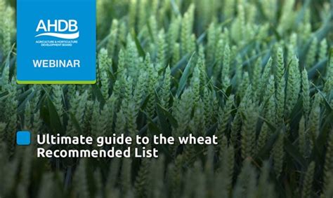 AHDB Spring Wheat Recommended List
