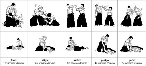 Aikido Grappling Techniques